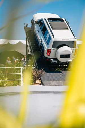 285 Denza Goodwood 2025