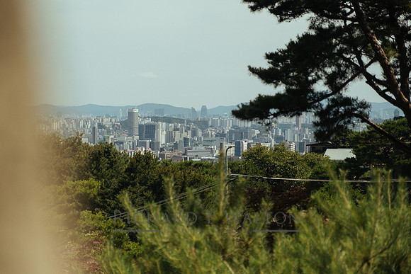 609 Connections Luxury Seoul24