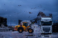 Gorrel Recycling-27