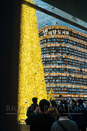 301 Connections Seoul23