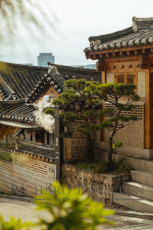 063 Connections Seoul23