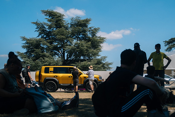 238 Denza Goodwood 2025