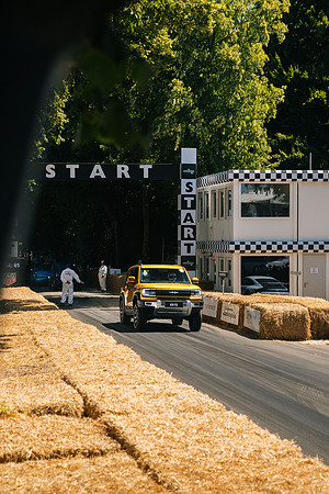 245 Denza Goodwood 2025