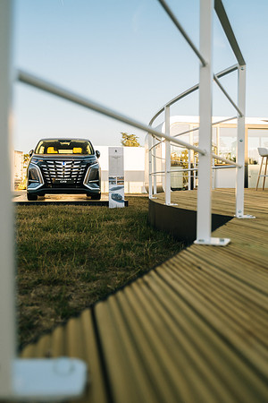 223 Denza Goodwood 2025