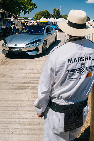 241 Denza Goodwood 2025