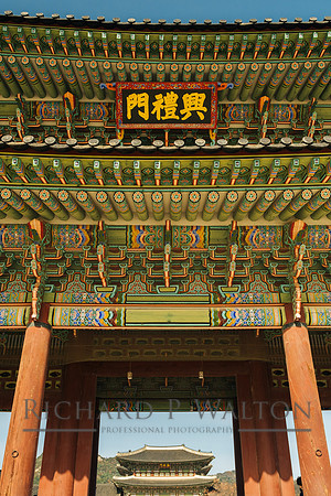 071 Connections Seoul23